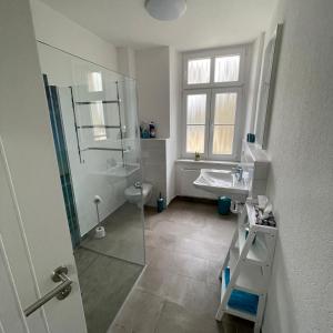 OschatzModerne Gästewohnung "Am Weinberg"mit Terrasse的带淋浴、盥洗盆和卫生间的浴室