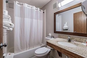 布伦瑞克布伦瑞克戴斯酒店的一间带水槽、卫生间和镜子的浴室