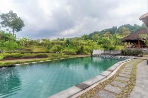 TirtaganggaAlamGangga Villas Tirta Gangga的房屋前的水池