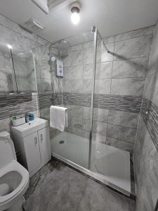 史云顿Entire Spacious Modern One Bedroom House的带淋浴和卫生间的浴室