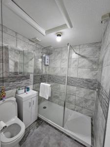 史云顿Entire Spacious Modern One Bedroom House的带淋浴、卫生间和盥洗盆的浴室