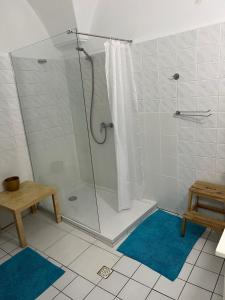 班斯卡-比斯特里察GRAN hostel的带淋浴的浴室和玻璃门