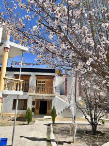 列城Zambala guest house的前面有一棵开花的树的房子