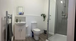 布拉克利Modern Barn Conversion的浴室配有卫生间、盥洗盆和淋浴。
