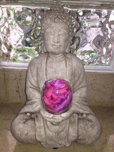 戛纳菲斯蒂瓦酒店的佛陀雕像,手持紫碗