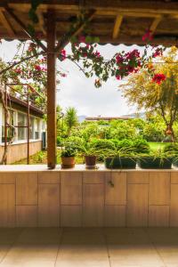 契拉勒Oase Garden Hotel的从种植盆栽植物的房子的门廊上欣赏风景