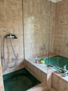 勒芒Gazonfier的设有带绿色浴缸的淋浴的浴室