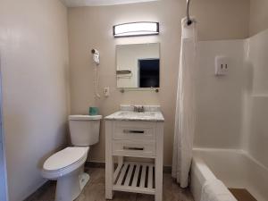 尼亚加拉瀑布Woodland Inn的一间带卫生间、水槽和镜子的浴室
