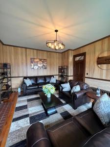 MontereyMonterey Inn的客厅配有皮革家具和吊灯。
