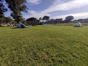 Colonia ChapadmalalKIYA surf parador的草原上有两个帐篷
