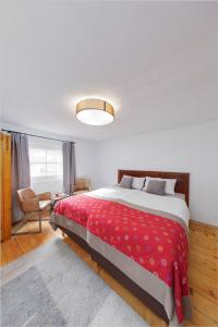 弗利尔施Arlberghaus Rocks的一间卧室配有一张带红色毯子的大床