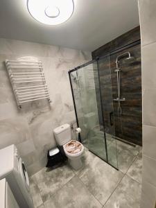 LiwaZOSIA的一间带卫生间和玻璃淋浴间的浴室