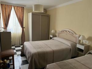 阿尔姆尼卡Hotel Plaza Damasco的酒店客房设有两张床和窗户。