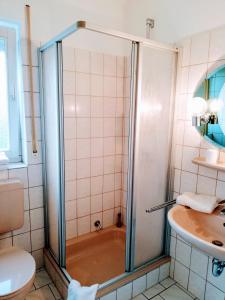 巴特维尔东根Haus Royal的带淋浴、卫生间和盥洗盆的浴室