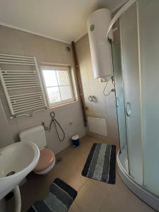 雅戈丁那Apartmani Jovana的带淋浴、卫生间和盥洗盆的浴室