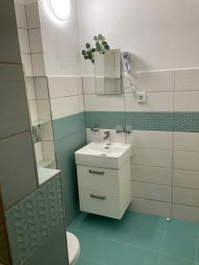 普拉哈季采Wellness penzion Harmonie Rohanov的一间带水槽和镜子的浴室