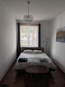 欧罗什哈佐Patyo Orosháza的卧室配有床、椅子和窗户。