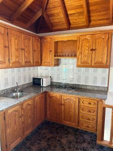 埃尔帕索Casa Antigua的厨房配有木制橱柜、水槽和微波炉