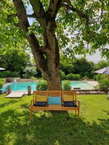 Saint-SèveLe Mas Réolais的木凳坐在泳池旁的树下