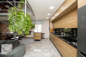托尔德拉Maravillosa casa con piscina grande y bosque的厨房设有悬挂在天花板上的大植物
