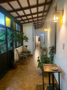 萨尔塔Casona Leguizamon的走廊上挂着盆栽植物,房间里设有桌子