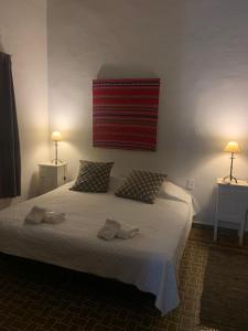 萨尔塔Casona Leguizamon的一间卧室配有一张带两个枕头的床