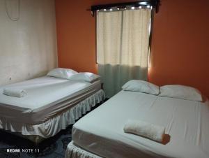 Laguna de PerlasHotel Little Queen Lobster的带窗户的客房内设有两张单人床。