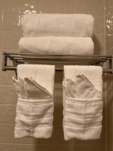 MoapaMoapa Motel的浴室毛巾架上的三条毛巾