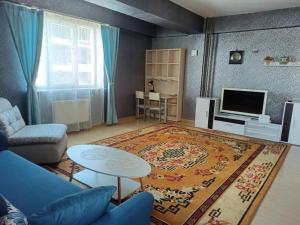 乌兰巴托OUNT-Central location, spacious, cozy and secure的客厅配有蓝色的沙发和地毯。