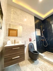 阿克拉Mariaddo homes的浴室设有黑色的卫生间和水槽。