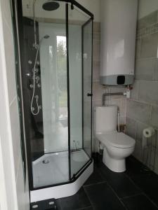 Le petit Loir, gîte sur la Loire à vélo的一间带卫生间和玻璃淋浴间的浴室