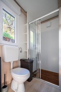 克罗诺维察Luxury Mobile home Zuzu Klenovica的一间带卫生间和玻璃淋浴间的浴室