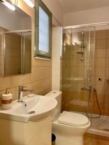 干尼亚RITSA ART RESIDENCE的浴室配有卫生间、盥洗盆和淋浴。