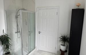 ShanagarryAshlee Lodge P25 K6R6的带淋浴的浴室和白色门