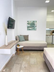 加藤-达拉特索Katerina Sea Apartments的带沙发和电视的客厅