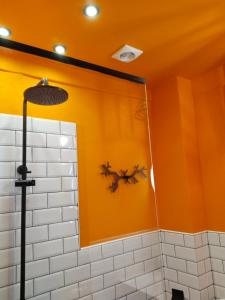 科莫蒂尼Top Floor Apartment的浴室设有橙色墙壁和淋浴。