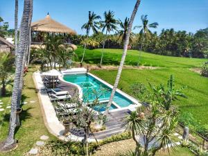 海神庙Coco Verde Bali Resort的棕榈树庭院中游泳池的形象