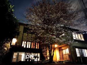 东京Diplomat House very close to JR Station的夜晚在建筑物前的树