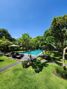 孟威Agung Wiwin Homestay & Restaurant的一座有树木和草地的庭院内的游泳池