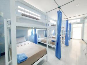 考索Khao Sok Backpacker Hostel的一间卧室设有两张双层床和蓝色窗帘