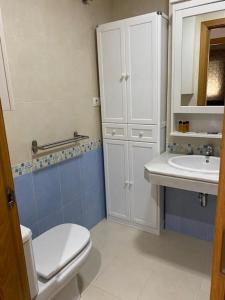 圣费尔南多Sensacional piso en San Fernando的浴室配有白色卫生间和盥洗盆。