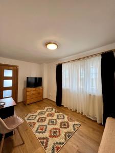 普雷代亚尔Vila Brad的客厅设有大窗户和地毯。