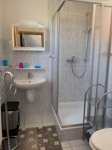 克劳斯多夫Apartment Klausdorf 2的带淋浴和盥洗盆的浴室