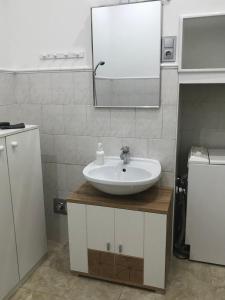 布达佩斯泽内斯豪斯公寓的一间带水槽和镜子的浴室