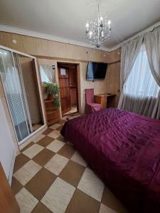 切尔诺夫策Zatyshok的一间卧室配有一张大紫色床和吊灯。