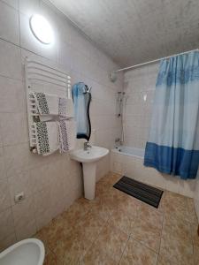 切尔诺夫策Zatyshok的一间带水槽、卫生间和淋浴的浴室