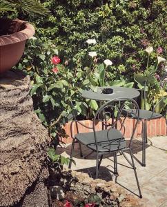 阿拉西奥利嘉别墅酒店的玫瑰花园旁的桌椅