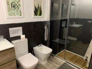 阿瓜杜尔塞Apartment Paseo的一间带卫生间和淋浴的浴室