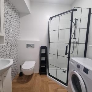 格丁尼亚Figaro Apartaments的一间带卫生间和洗衣机的浴室