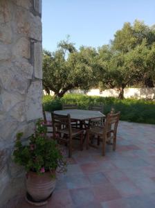 查加基恩Olive Trees的庭院配有桌椅和植物